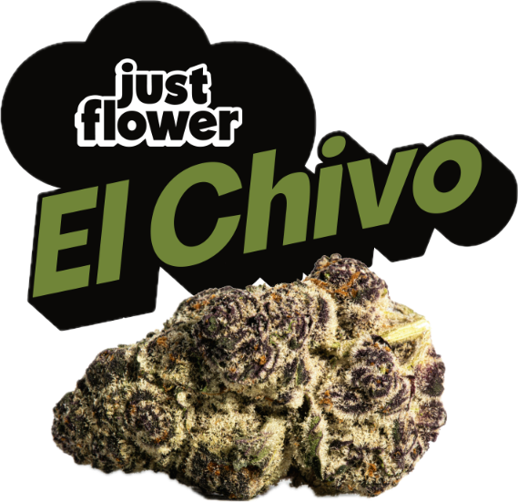 07ce593ca0ab9b98733792d690cc4afc9d8ac312 1