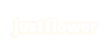 Just Flower Secondary Logo Blue 1 1