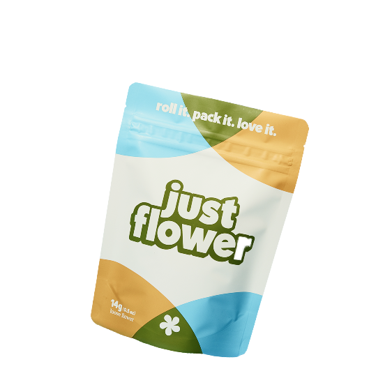 JustFlower Studio 1 1