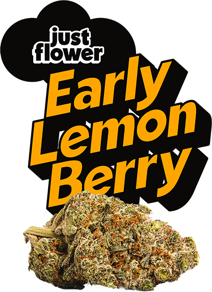 JF Early Lemon Berry