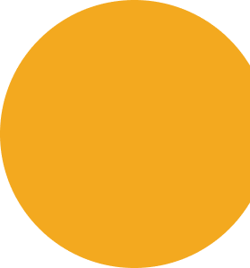 Ellipse 31